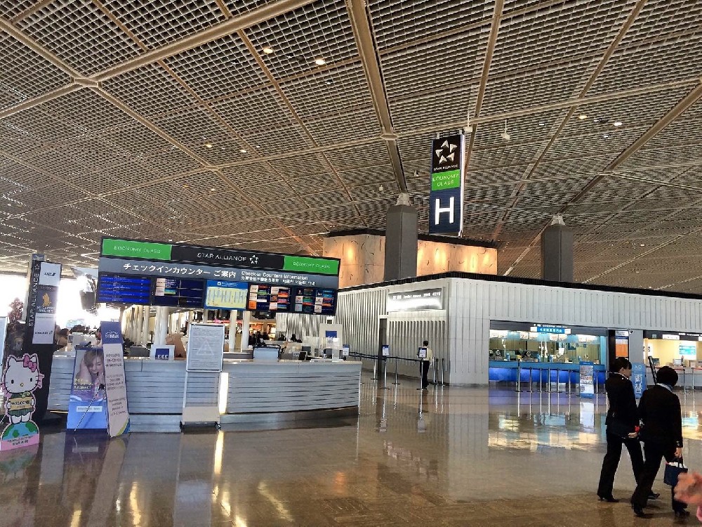 渡航・滞在総合コンサルティング